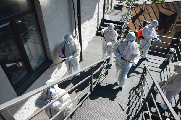 Best Mold Removal for HVAC Installations  in Harvest, AL