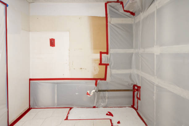Best Residential Mold Inspection & Testing  in Harvest, AL