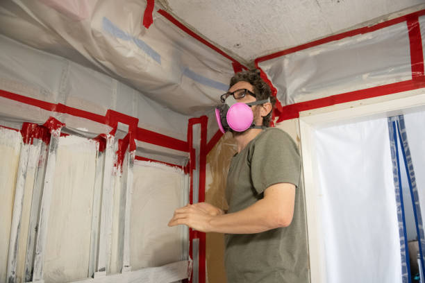 Best Attic Mold Removal  in Harvest, AL