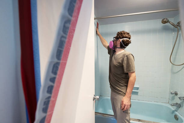 Best Black Mold Removal  in Harvest, AL