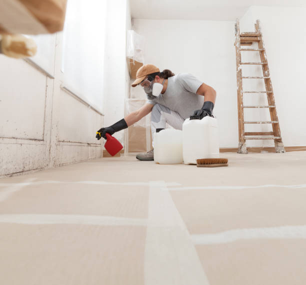 Forensic Mold Investigation in Harvest, AL