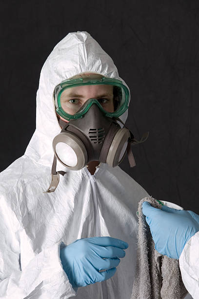 Trusted Harvest, AL Mold Removal Experts